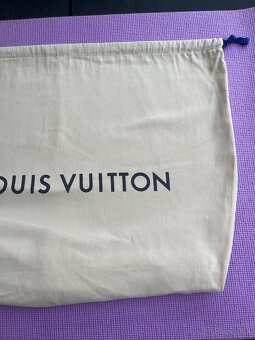 Louis Vuitton Palm Springs PM Backpack - 17