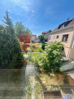 Veľký rodinný dom na Čermáni, bývanie aj podnikanie - 17