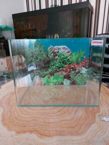 Prebytky po akvaristickej predajni - 17