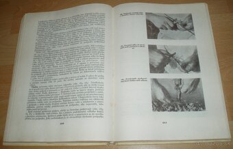 Štepenie, očkovanie a preštepovanie drevín - 17