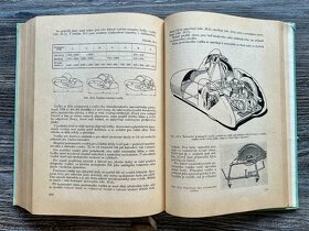 Konstrukce motocyklu - V. Jansa - SNTL ( 1960 ) - 17
