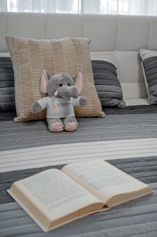 NA PREDAJ 2-IZBOVÝ BYT S TERASOU, NOVOSTAVBA, JÉGÉHO ALEJ - 17