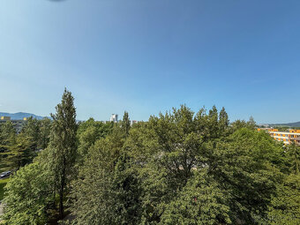 Priestranný 2 izbový byt s výhľadmi Vlčince I. - 17