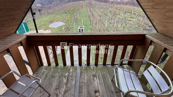 Chata s pivnicou a vinicou v krásnej oblasti Jelenec - 17