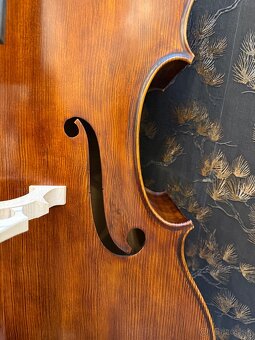 Predám Kontrabas  Giovanni Paolo Maggini - 17