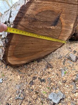 Orechové drevo - 17