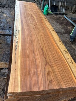 Rezivo Brest Brestove Fošne Kmene Drevo - 17