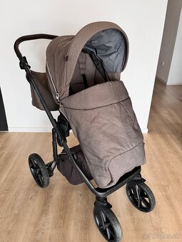 Roan Bloom hnedý - 17