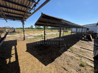 NOVINKA - Rodinná farma na vyše 2,5 hektároch pri Komárne - 17