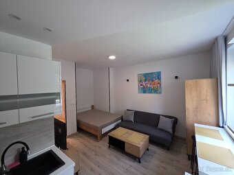 Ubytovanie-Apartmány-BB-Centrum-"Hodinový Hotel" - 17