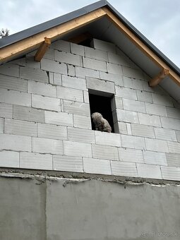 Kompletné stavebné, murárske a podlahárske práce - 17