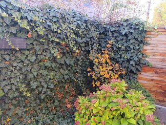 NOVOSTAVBA SAMOSTATNÝ DOM v lukratívnej lokalite pri Trnave - 17