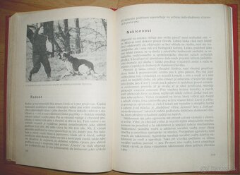 Poznej svého psa - 17