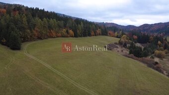 Rozľahlý pozemok pre individuálnu rekreáciu- Čertov 91.147m2 - 17