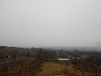 Na predaj viničný domček s vinicami a  pivnicou  v Strekove. - 17