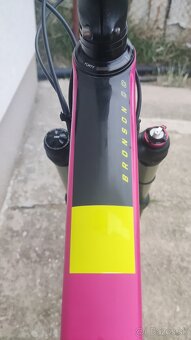 (SÚRNE) Santa Cruz Bronson CC V2 (unisex) - 17