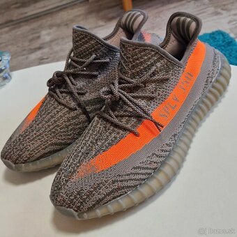 Yeezy Boost 350 - 17