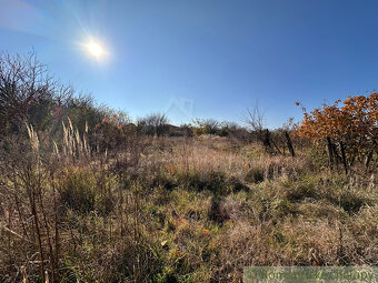 Starý sedliacky dom na veľkom pozemku – vhodné na výstavbu - 17