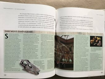 Tomáš a Alica v prírode, Bábkové divadlo, Prechádzky s dinos - 17