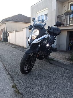 Suzuki v strom - 17