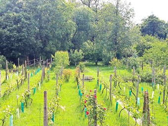 PREDAJ- RD v obci Cífer - Novostavba - 17