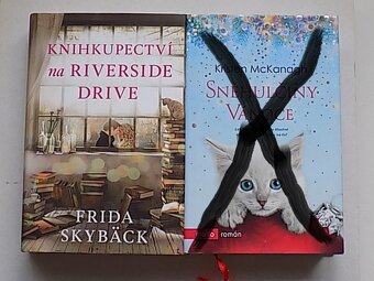 Romantika - Penelope Ward+J.R.Ward+Lauren+Towle a iný - 17