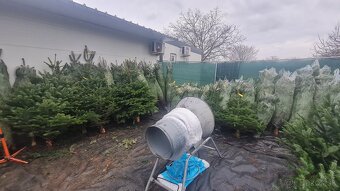 OBCHODNÝ PRIESTOR BERNOLÁKOVO - 17