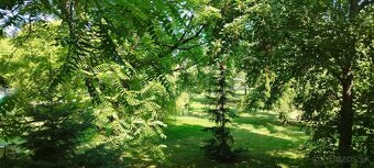 3-izbový, príjemný, vkusný byt v peknom prostredí. TOP - 17