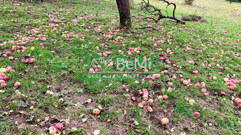 Pozemok pre mobilný dom 3970 m2, polosamota, Michalková - 17