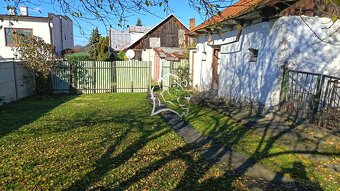 Na predaj rodinný dom v obci Nižný Hrabovec - okres Vranov n - 17