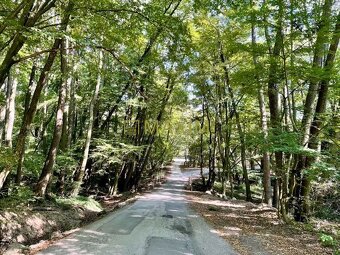 Celoročne obývateľná chata Domček zázrakov v Kučišdorfskej d - 17