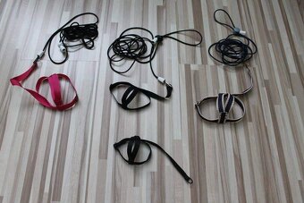 Traky pre papagáje, kšíry, popruhy - 17