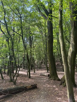 Prenájom moderného 2-izbového bytu - 17