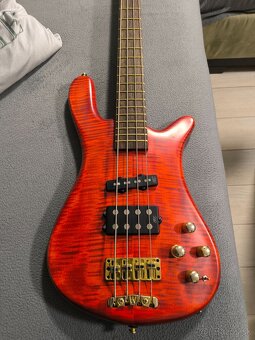 Predám Warwick Streamer LX Jazzman 4,latny do 1.3.2026 - 17