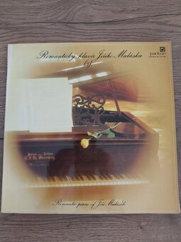 LP platne rôzne žánre-okres Levice - 17