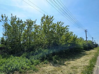 Rodinný dom v obci Čata - 17