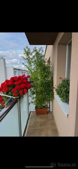 2 izbový byt 59m2 na ul. Žitavská s balkónom. - 17