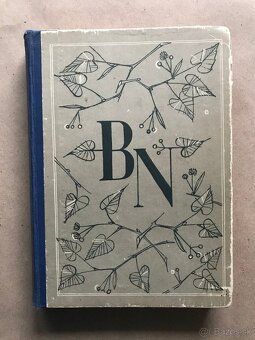 Babička, Edgar Allan Poe: Havran, Sloboda, Benka, Rimbaud - 17
