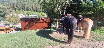 Pastvinové ustajnenie - 17