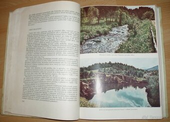 Športové rybárstvo - 17