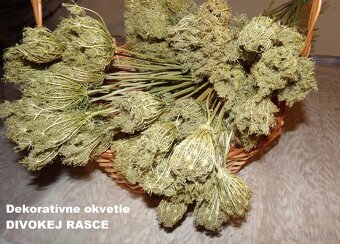 SUŠENÉ KVETY NA ĎALŠIU TVORBU - 17