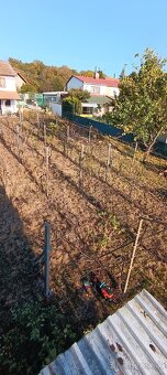 ČISTENIE POZEMKOV💪PÍLENIE DREVA💪KOSENIE KROV.RUČ RYĽOVANIE - 17