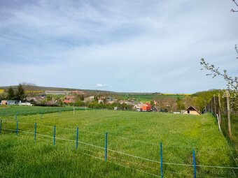 PREDAJ: Starší vidiecky dom s veľkým pozemkom a vínnou pivni - 17