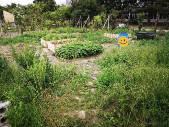 Záhrada v Pezinok na predaj - 17