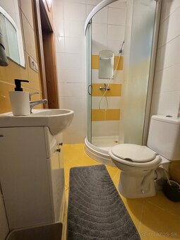 Priestranný 6-izbový dom, 3 kúpeľne a sauna - 17