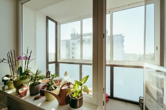 2-izbový byt na prenájom v blízkosti centra Skalice - 17
