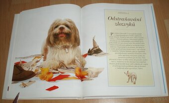 Výchova a výcvik psa - 17