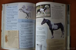 Knižky pre deti a mládež, beletria aj knižky o koňoch - 17
