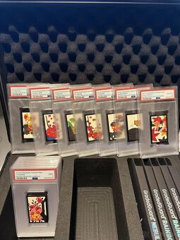 2016 Pokémon Mario Pikachu Luigi Hanafuda Plná sekvenčná sad - 17