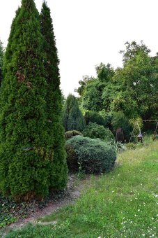 Predaj RD Černochov – romantická chalupa v srdci Tokaja - 17